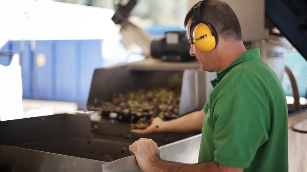 Esperienza dall olio all oliva 11