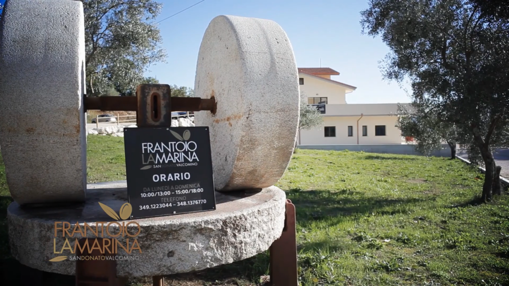 Esperienza dall olio all oliva 12