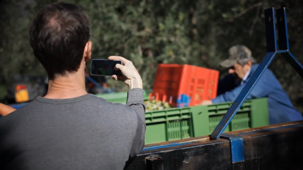 Esperienza dall olio all oliva 13