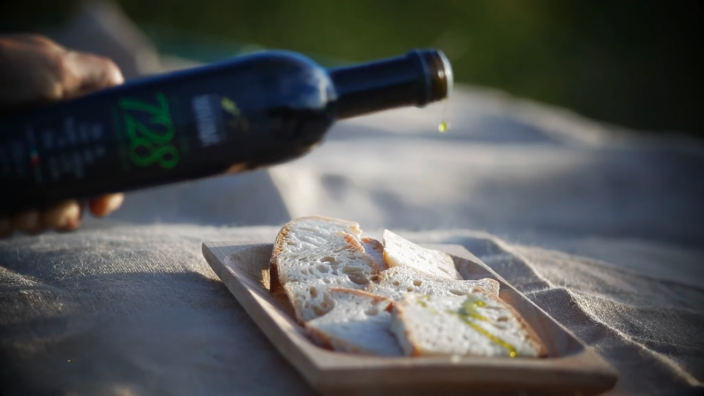 Esperienza dall olio all oliva 6