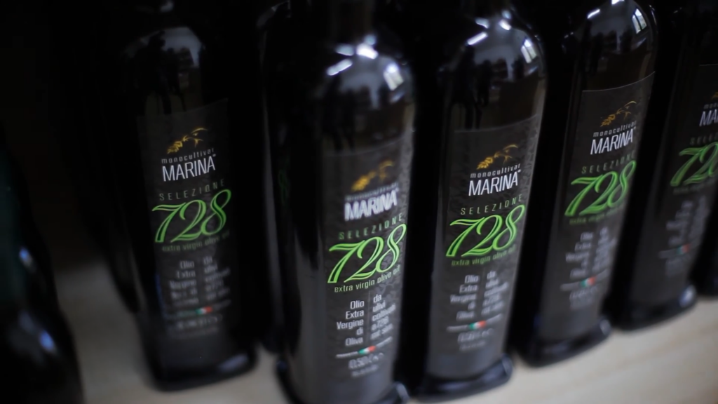 Esperienza dall olio all oliva 7