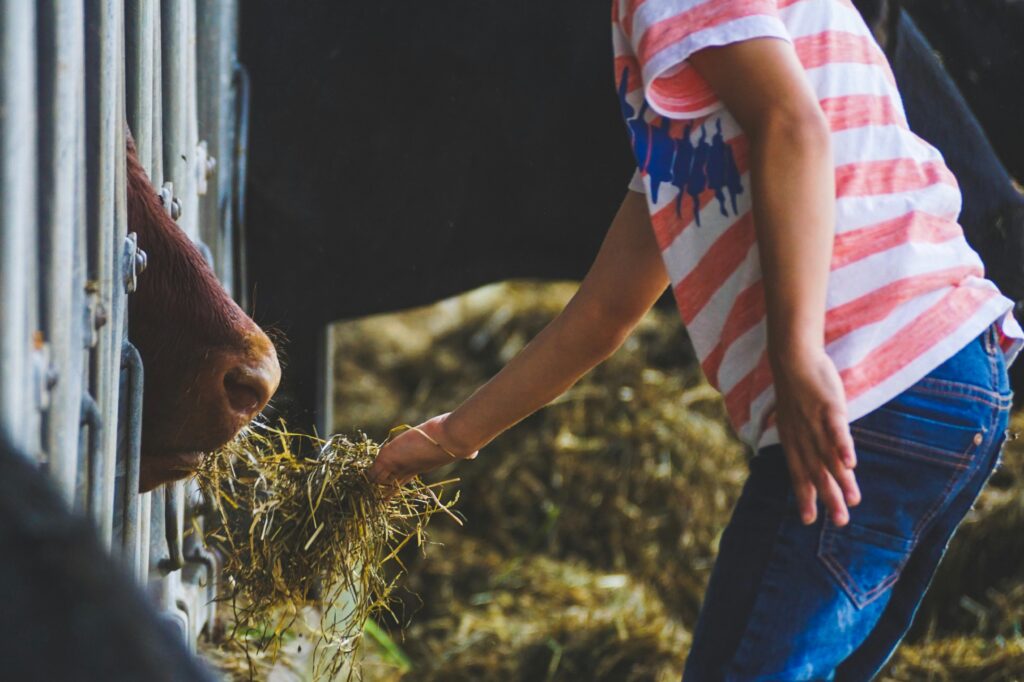 Fattoria Didattica 002