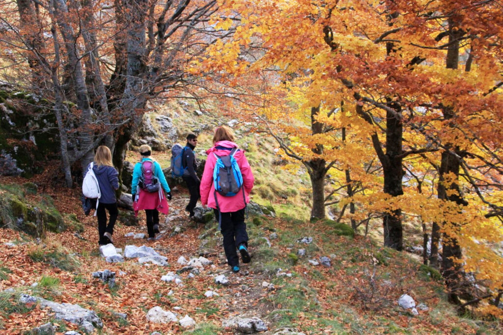 Foto di Monte San Nicola, Monte Panico