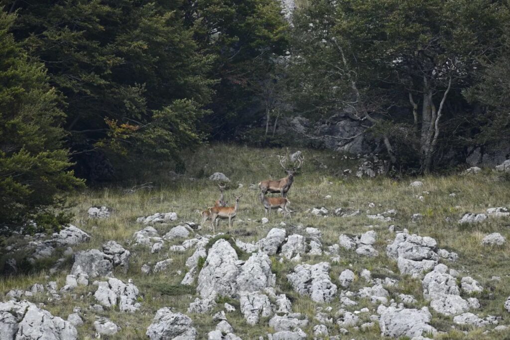 Un viaggio tra i colori della natura 001